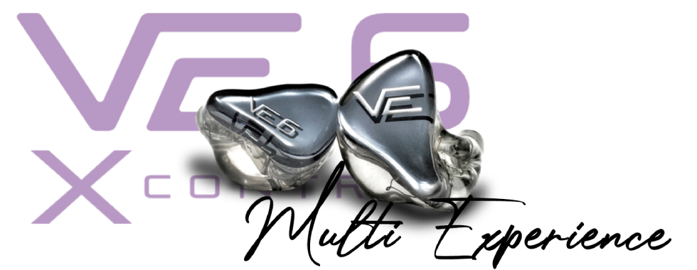 VISION EARS VE6 Xcontrol カスタムIEM